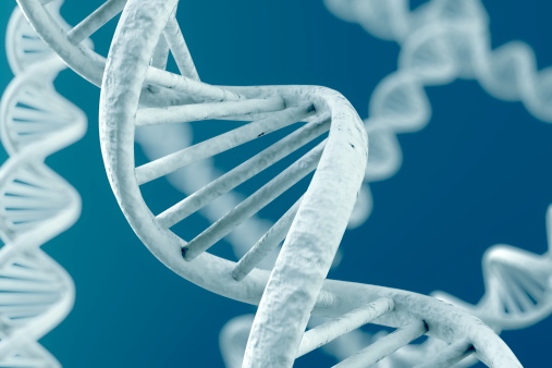 Gilbert's syndrome is a hereditary disorder that typically doesn't require treatment.