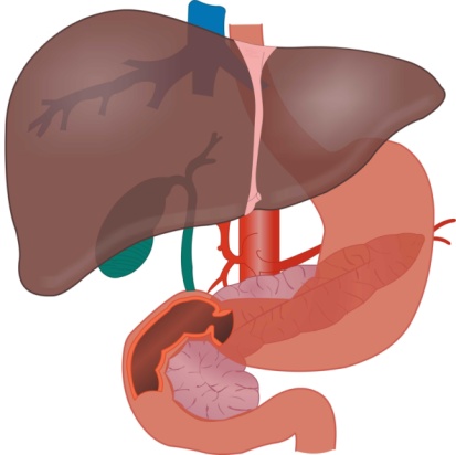 Liver problems can affect more than just the liver.