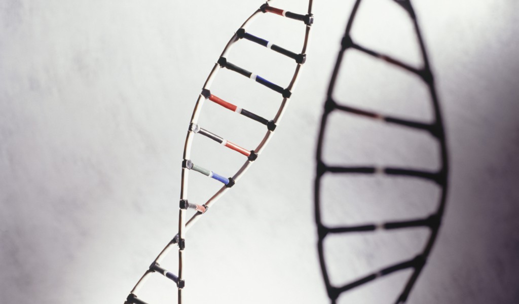A close up of a DNA strand; primary biliary cirrhosis is believed to have a genetic cause.